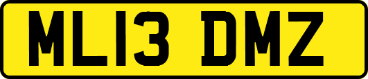 ML13DMZ