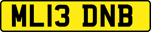 ML13DNB