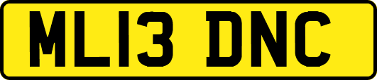 ML13DNC