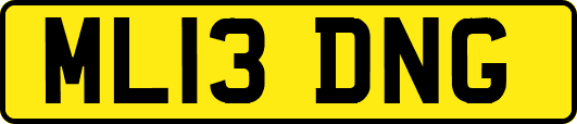 ML13DNG