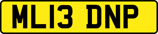 ML13DNP
