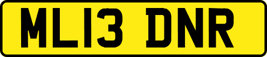 ML13DNR