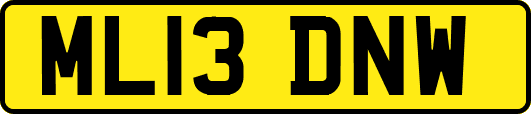ML13DNW