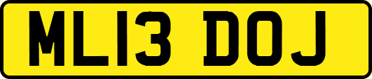 ML13DOJ