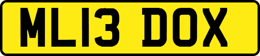 ML13DOX