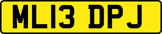 ML13DPJ