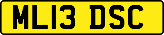 ML13DSC