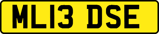 ML13DSE