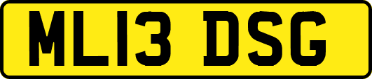 ML13DSG