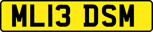 ML13DSM