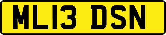 ML13DSN