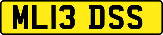 ML13DSS