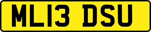 ML13DSU