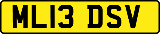 ML13DSV