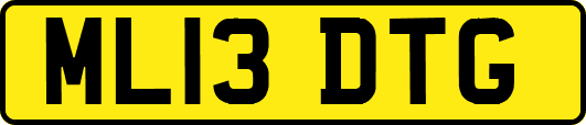 ML13DTG