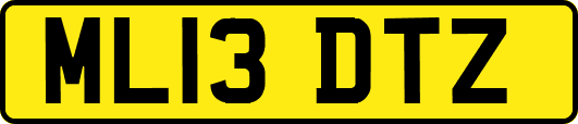 ML13DTZ