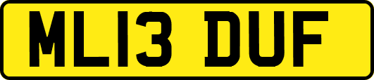 ML13DUF