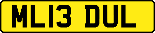 ML13DUL