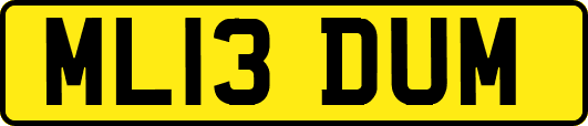 ML13DUM