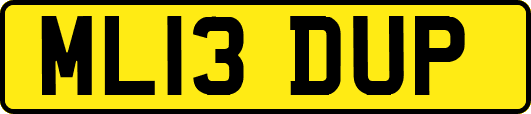 ML13DUP
