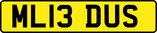 ML13DUS