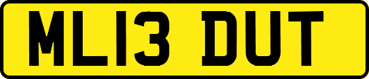 ML13DUT