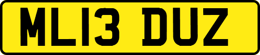 ML13DUZ