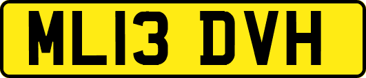 ML13DVH