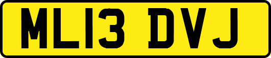 ML13DVJ