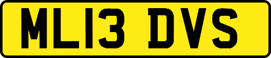 ML13DVS