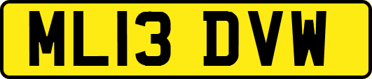 ML13DVW