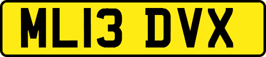 ML13DVX