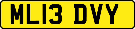 ML13DVY