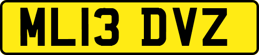 ML13DVZ