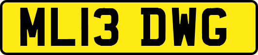ML13DWG