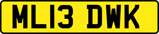 ML13DWK