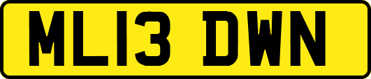 ML13DWN