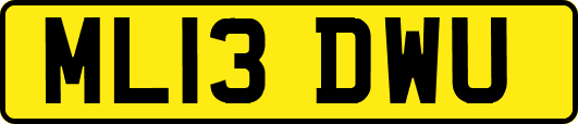 ML13DWU