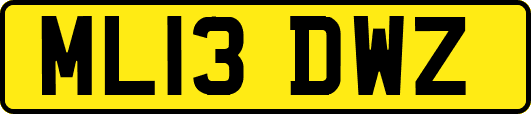 ML13DWZ