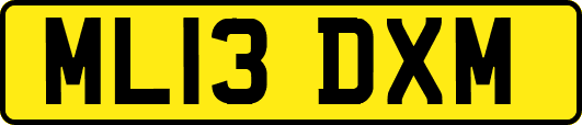 ML13DXM