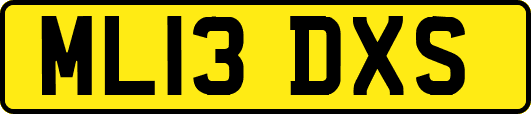 ML13DXS