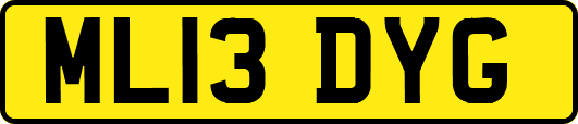ML13DYG