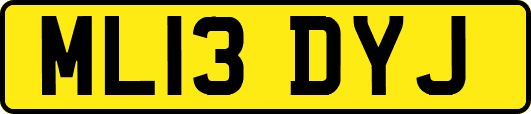 ML13DYJ