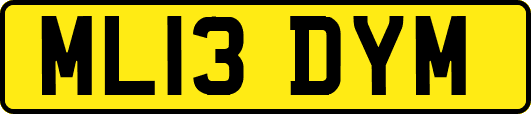 ML13DYM
