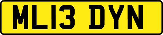 ML13DYN