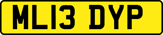 ML13DYP