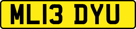 ML13DYU