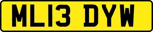 ML13DYW