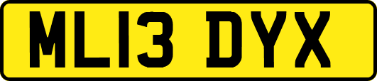 ML13DYX