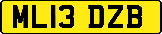 ML13DZB